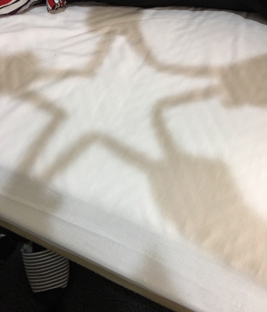 明日は修検と仮免