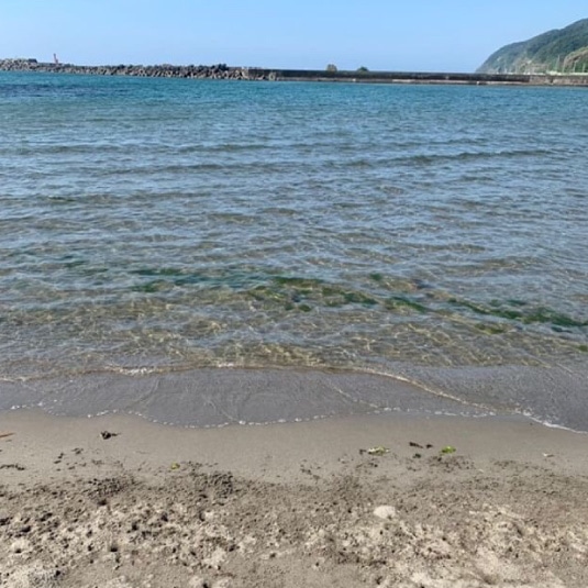 先生の話も面白くて楽しかったな